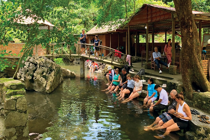 Tourists enjoy fish massage service